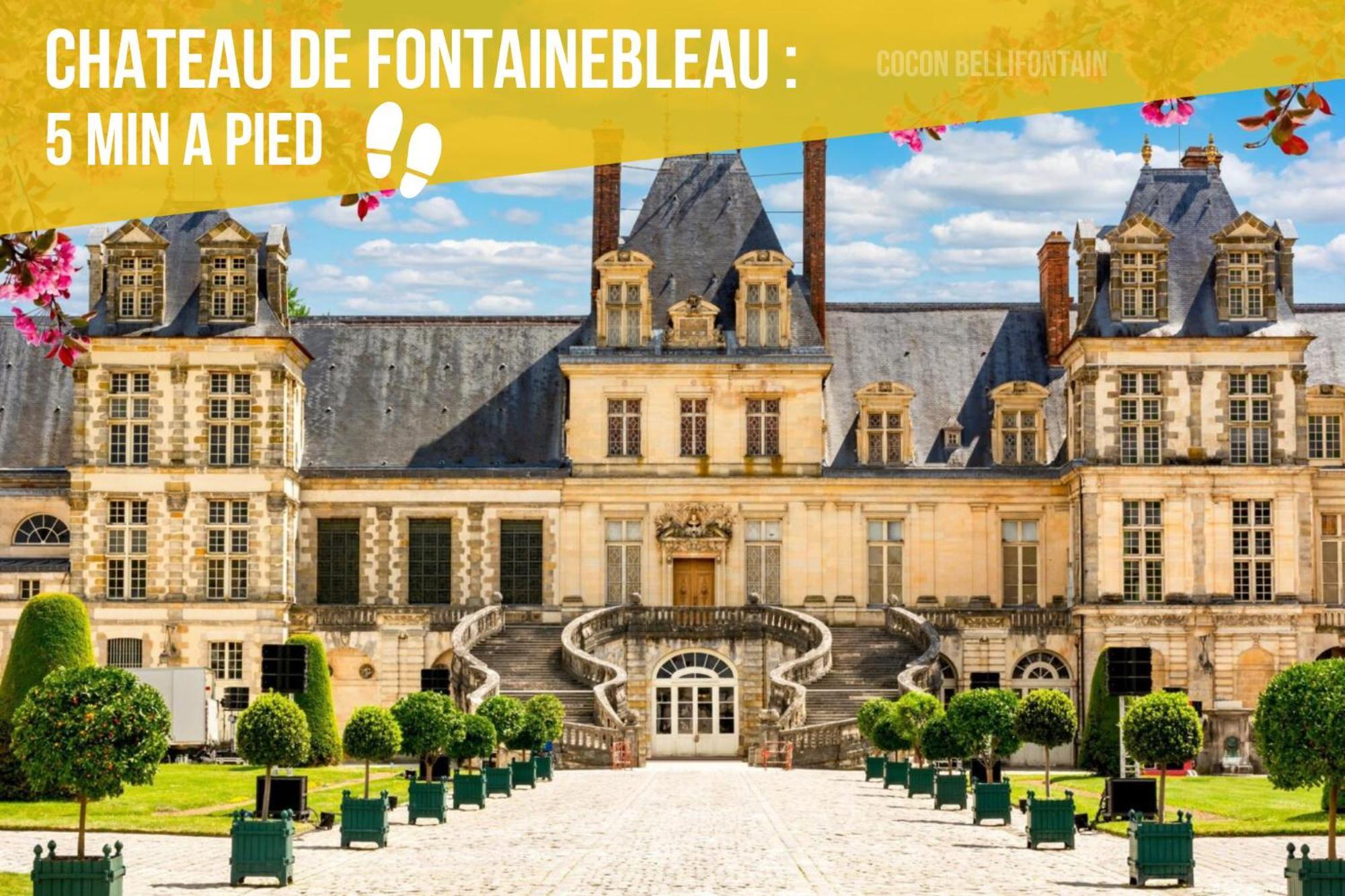 Le Cocon Royal De Fontainebleau - Centre-Ville #Insead #Chateau Exterior foto
